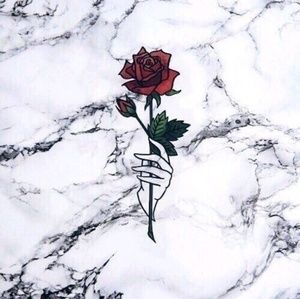 Meet your Posher, Guadalupe